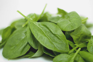  Cómo cultivar espinacas en el alféizar de la ventana.