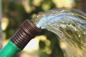  Cómo encontrar agua para un pozo.