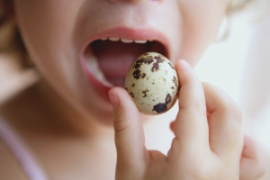  Cómo cocinar huevos de codorniz para un niño.