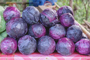  Manfaat dan kemudaratan kubis merah