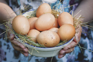  ¿Es posible que las mujeres embarazadas tengan huevos?