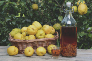  Cómo hacer vino de membrillo.